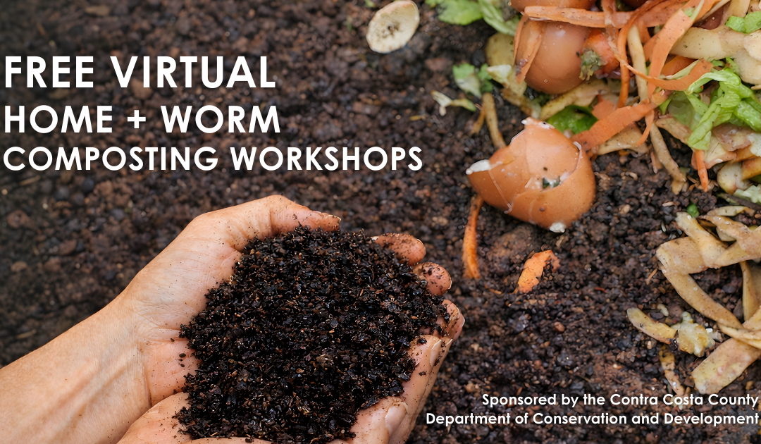Free Virtual Home + Worm Composting Workshops