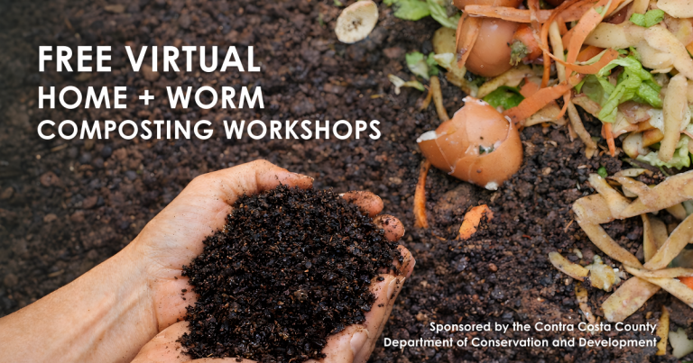 Free Virtual Home + Worm Composting Workshops