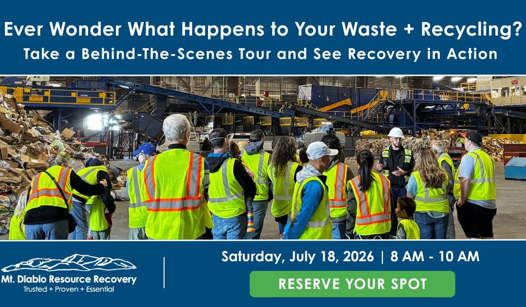Ever Wonder What Happens to Your Waste + Recycling?