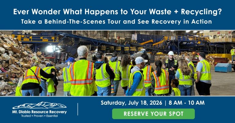 Ever Wonder What Happens to Your Waste + Recycling?