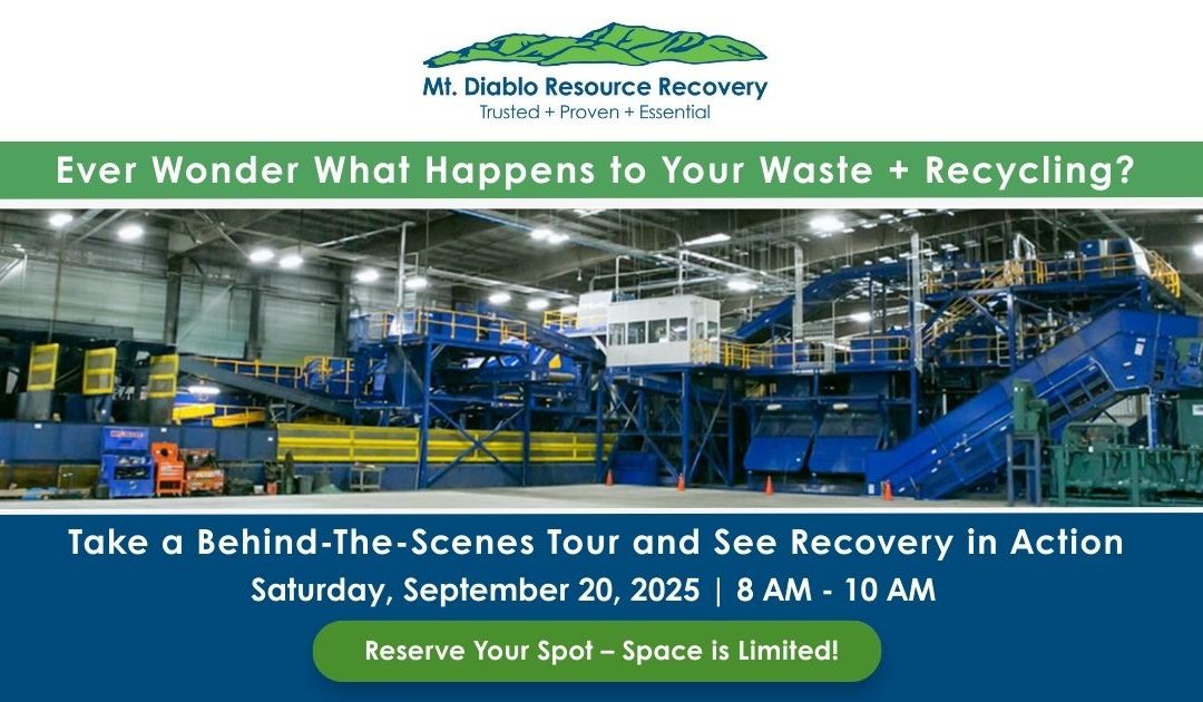 Ever Wonder What Happens to Your Waste + Recycling?