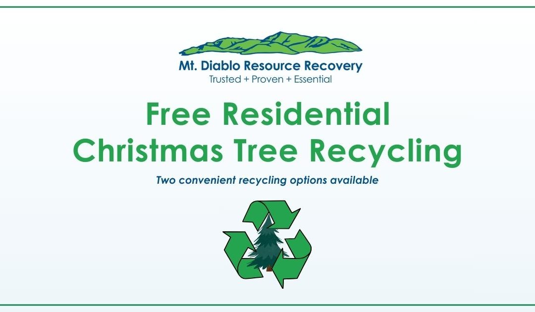 Free Residential Christmas Tree Recycling